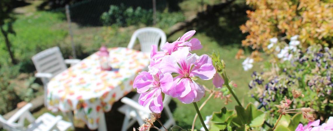 Cesate B&B Via Roma المظهر الخارجي الصورة